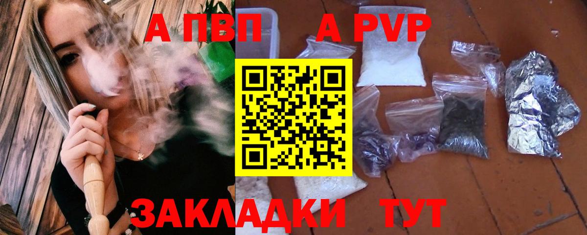 Alfa_PVP СК КРИС Майкоп