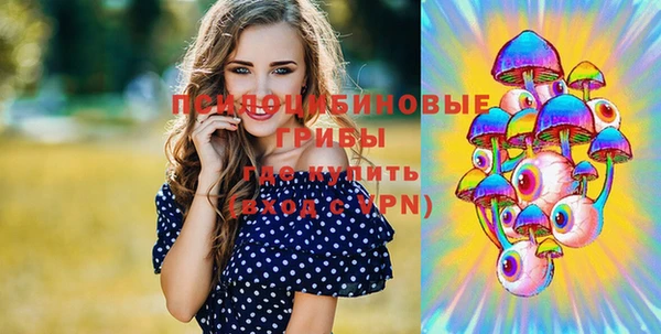 дмт Алексеевка
