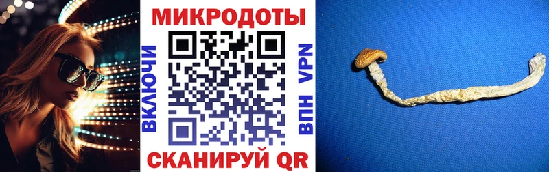 Псилоцибиновые грибы MAGIC MUSHROOMS  Майкоп 