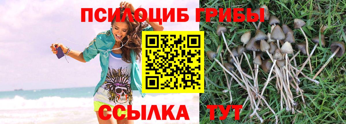 Майкоп  Галлюциногенные грибы мухоморы  Вход с VPN 